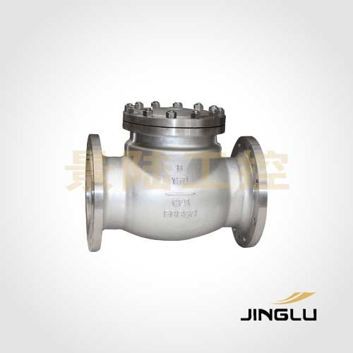 Stainless steel check valve