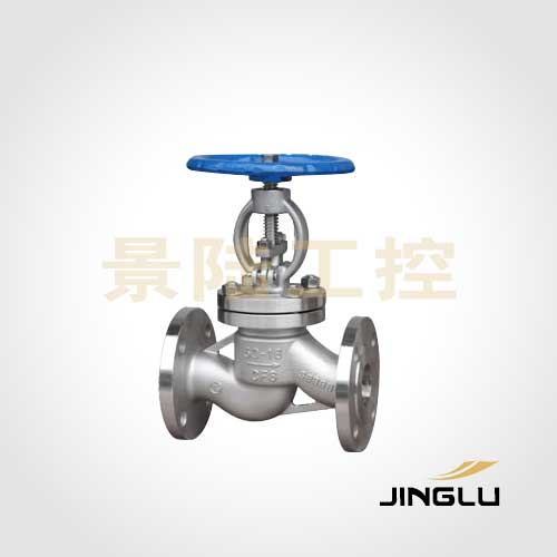 Stainless steel globe valve